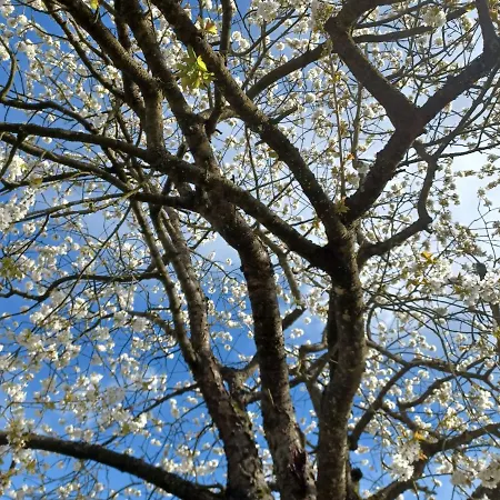 Lyxtält Wanderreitstation Pferdehof Jakobshagen *