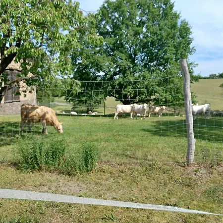 Lyxtält Wanderreitstation Pferdehof Jakobshagen *