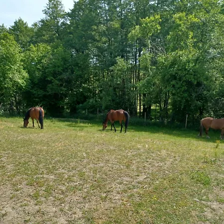 Wanderreitstation Pferdehof Jakobshagen Lyxtält Jakobshagen