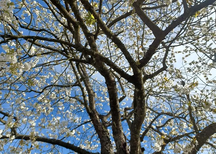 Lyxtält Wanderreitstation Pferdehof Jakobshagen *