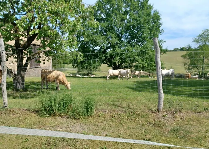 Lyxtält Wanderreitstation Pferdehof Jakobshagen *