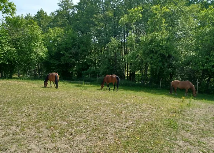 Wanderreitstation Pferdehof Jakobshagen Lyxtält Jakobshagen